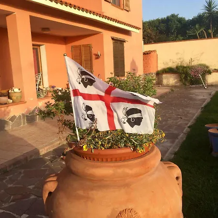 La Tartaruga Сasa de vacaciones *