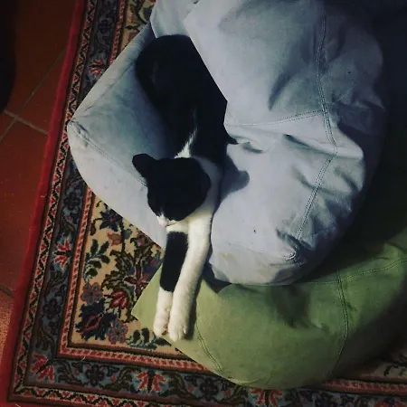 La Tartaruga